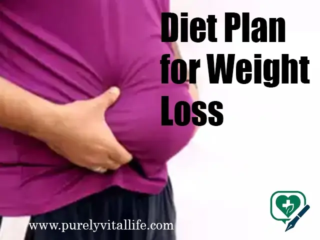 understanding of diet plan for weight loss