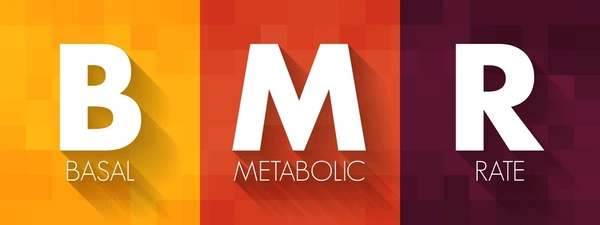 BMR Calculator