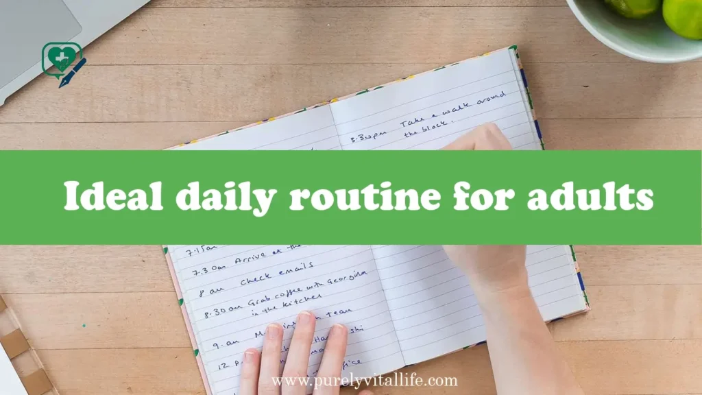 Ideal daily routine for adults