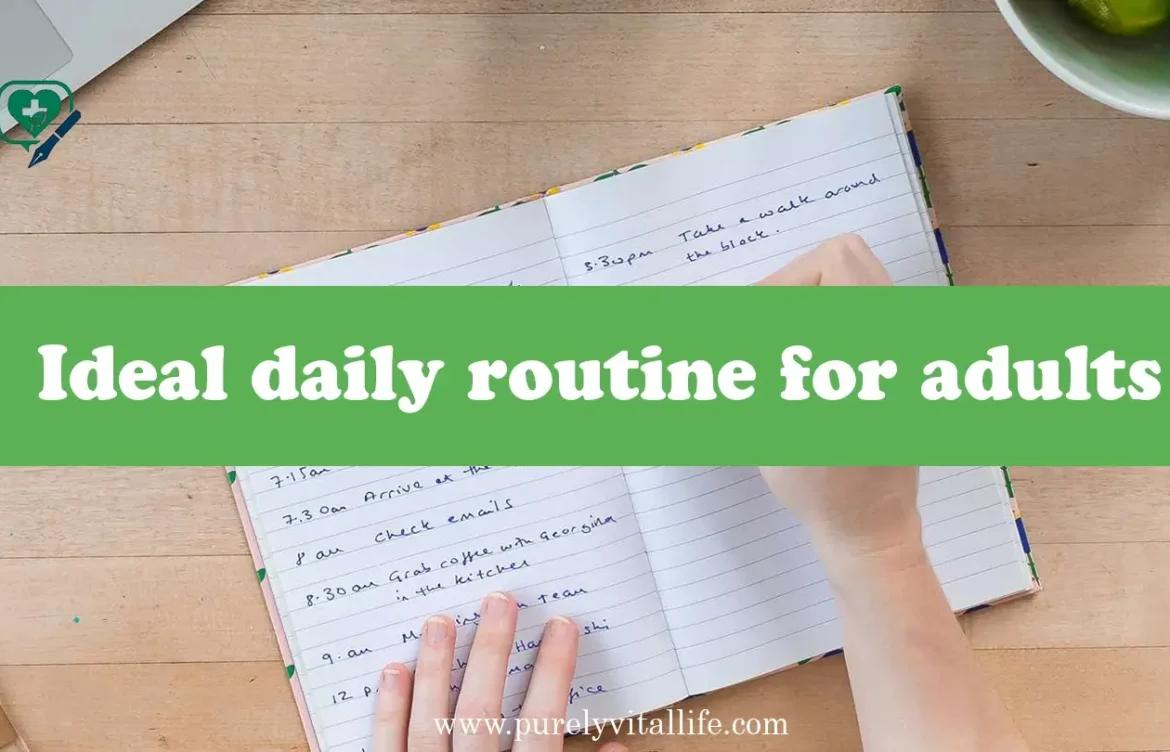 Build the Ideal Daily Routine for Adults in Just 30 Minutes a Day