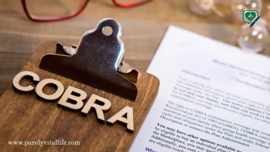 cobra insurance