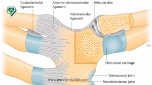 Common Complications in Sternocostal Joints