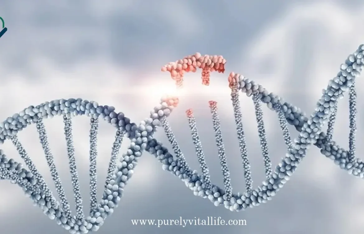 Genetic Mutations: How DNA Changes Impact Your Health