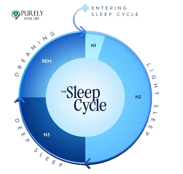 find your best time to sleep and wake up time with this amazing sleep calculator