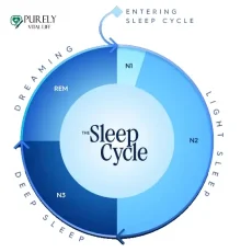 find your best time to sleep and wake up time with this amazing sleep calculator